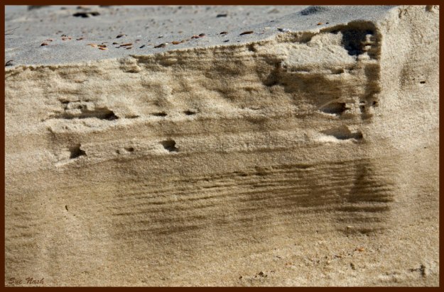 A small sand wall formed by the tide
